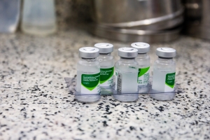 Morador do distrito de São José do Turvo é picado por cascavel e recebe soro antiveneno